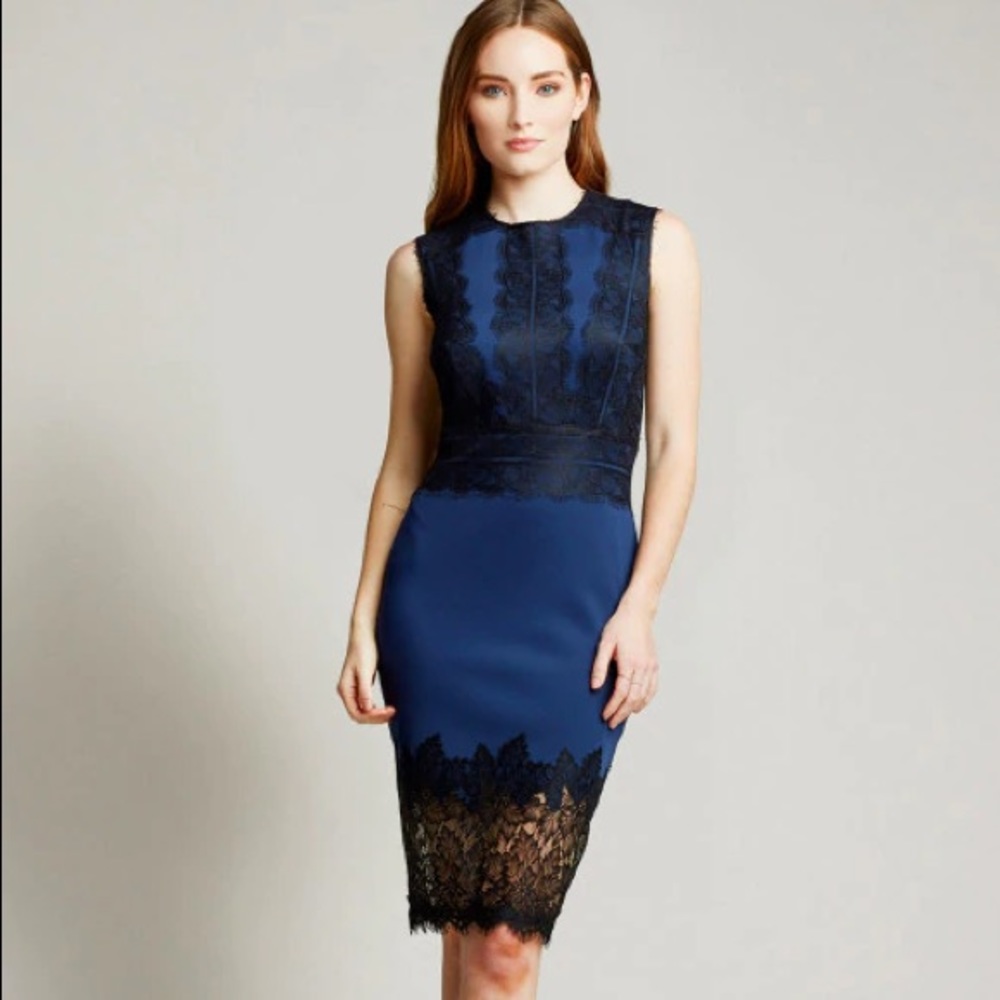 NWT Tadashi Shoji Dress
